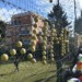 Doppio Giallo! Torneo di Natale 2017